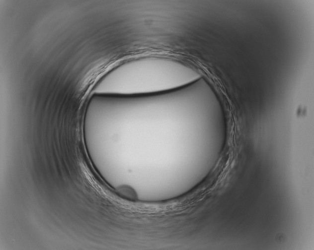 X0000110730002200906121321