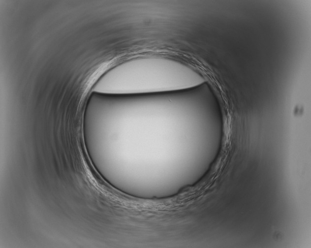 X0000110730003200906121321
