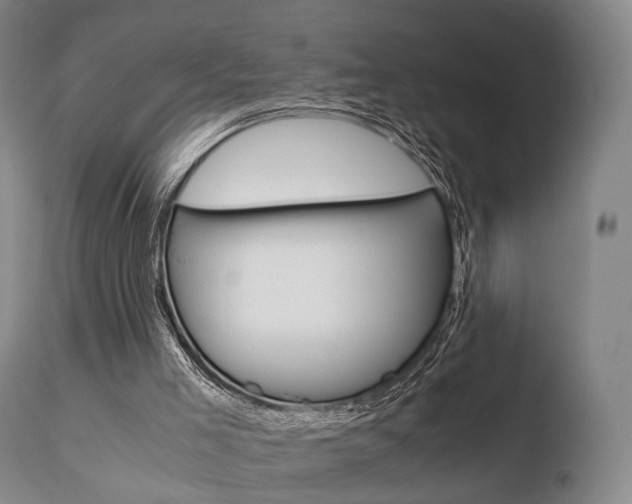 X0000110730005200906121321