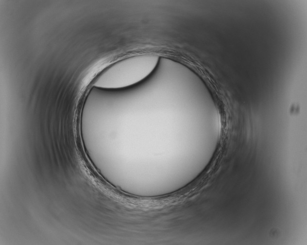 X0000110730006200906121321