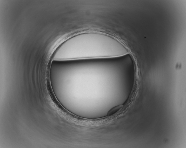 X0000110730007200906121321
