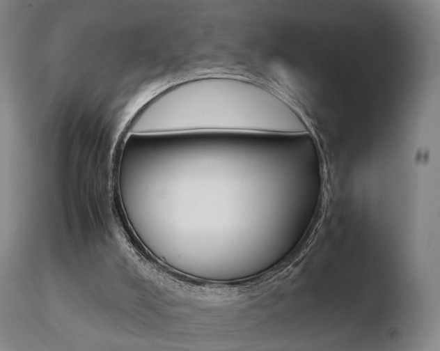 X0000110730008200906121321