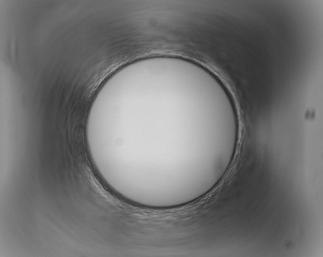 X0000110730009200906121321