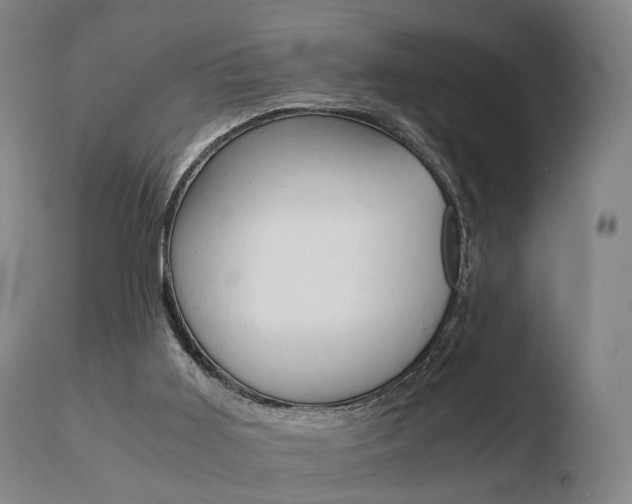 X0000110730011200906121321
