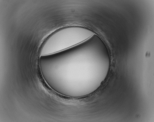 X0000110730012200906121321