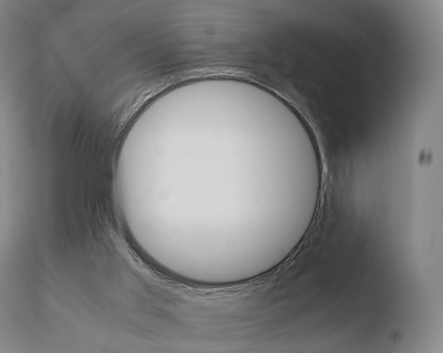 X0000110730013200906121321