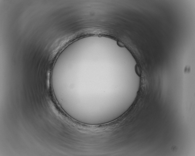 X0000110730014200906121321