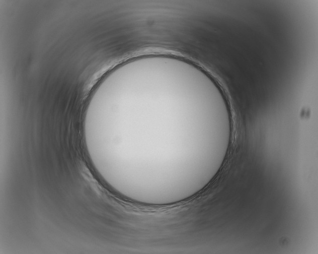 X0000110730015200906121321