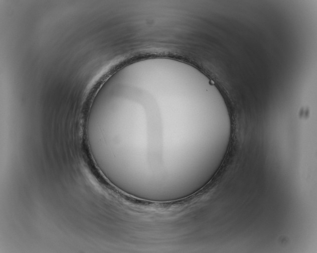 X0000110730016200906121321