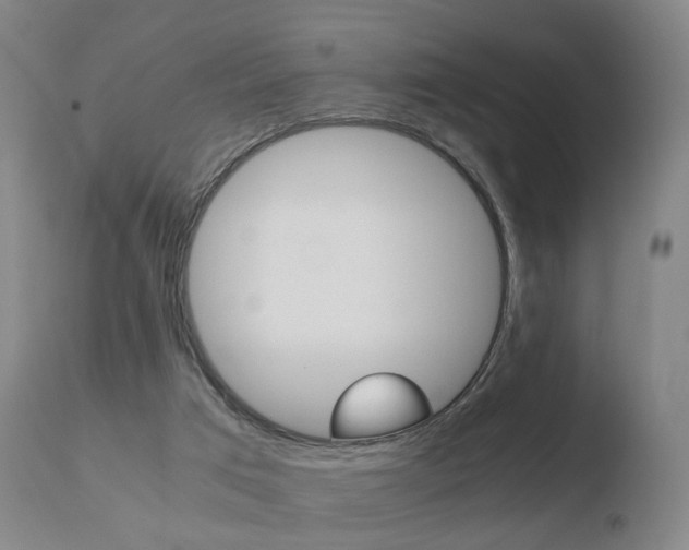 X0000110730017200906121321