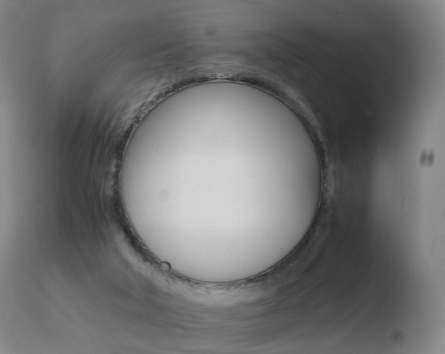 X0000110730018200906121321