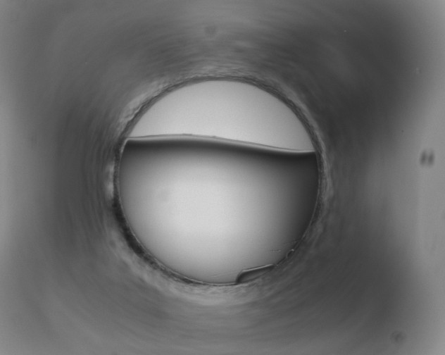 X0000110730019200906121321