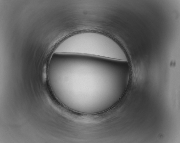 X0000110730020200906121321