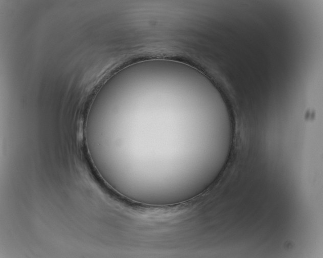 X0000110730021200906121321