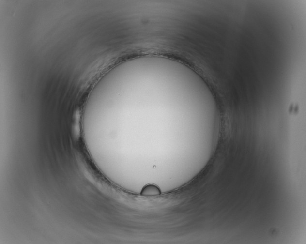 X0000110730022200906121321