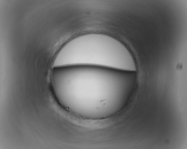 X0000110730023200906121321