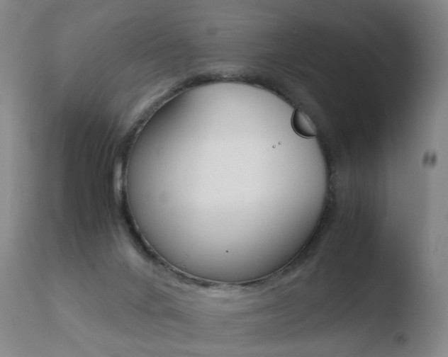 X0000110730024200906121321