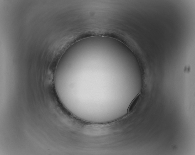 X0000110730025200906121321
