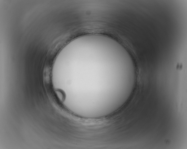X0000110730026200906121321