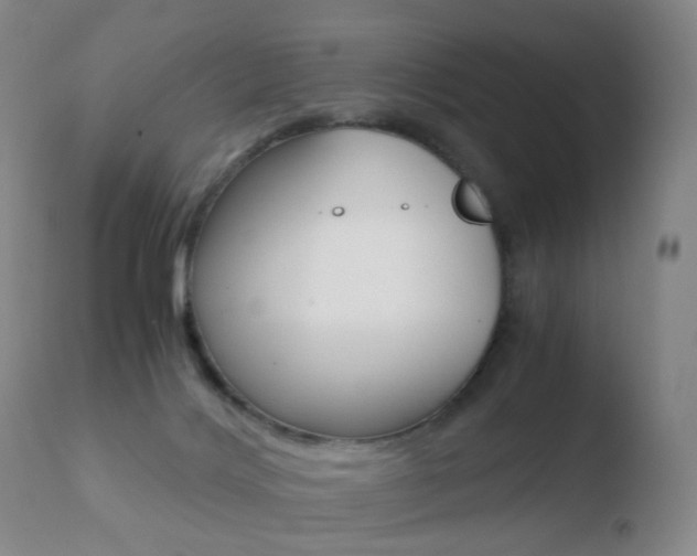 X0000110730028200906121321