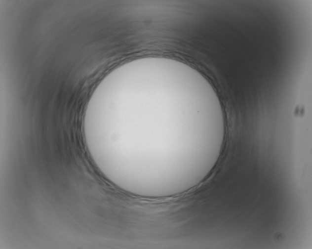 X0000110730029200906121321