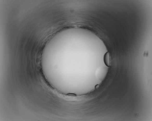 X0000110730030200906121321