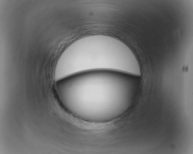 X0000110730031200906121321
