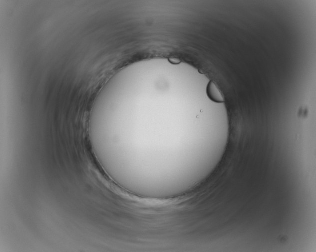 X0000110730034200906121321