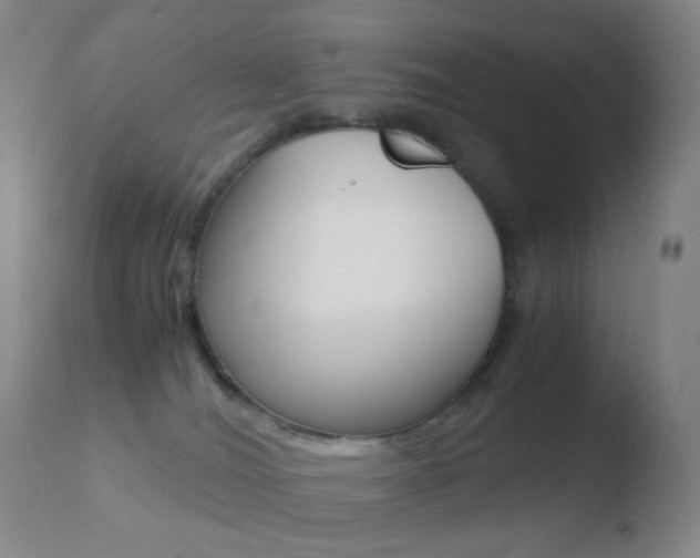 X0000110730036200906121321