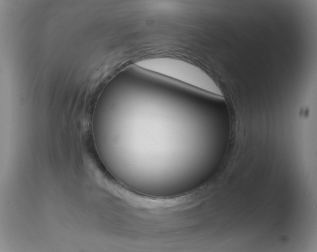 X0000110730039200906121320