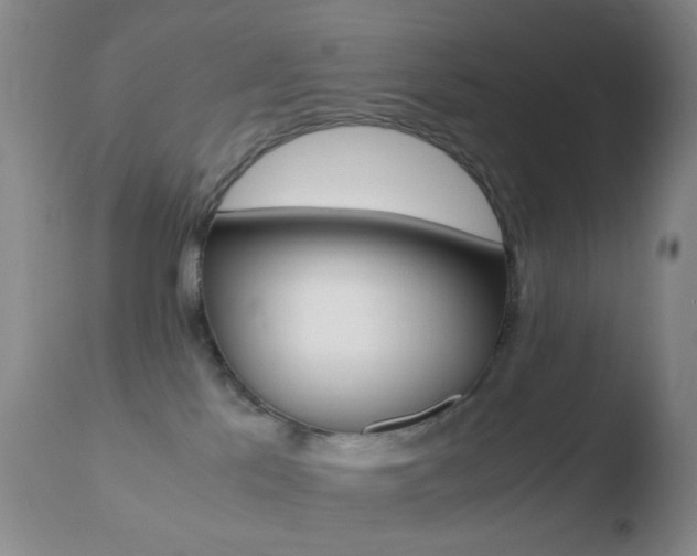 X0000110730041200906121320