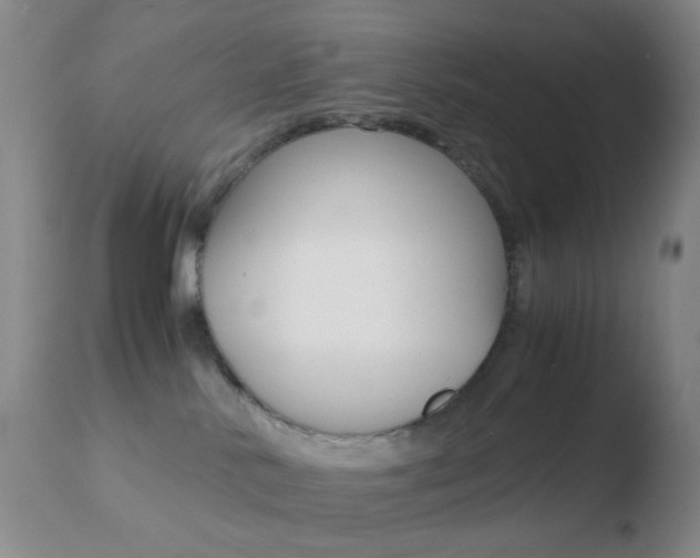 X0000110730042200906121320