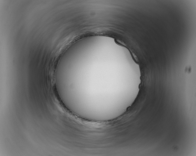 X0000110730044200906121320