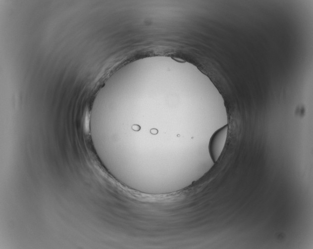 X0000110730046200906121320
