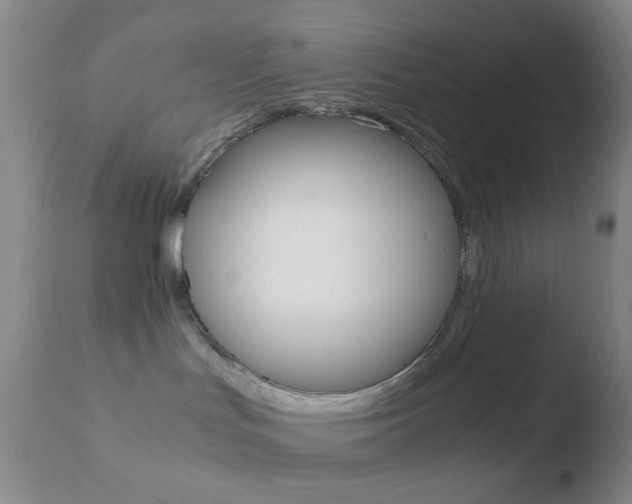 X0000110730047200906121320