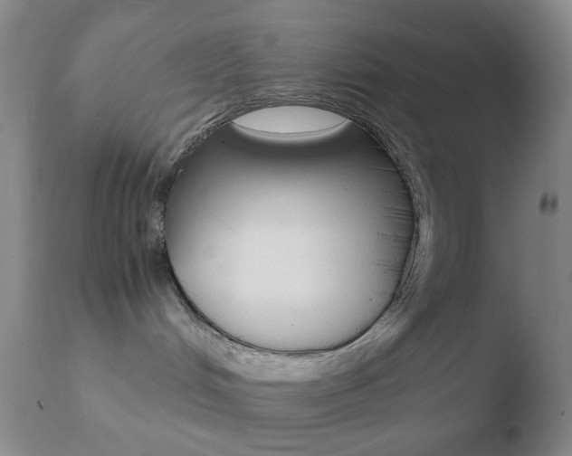 X0000110730048200906121320