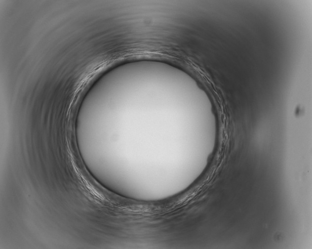 X0000110730049200906121320