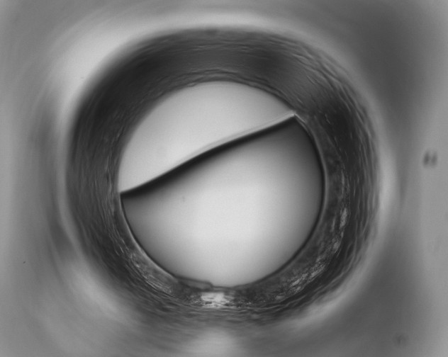 X0000110730050200906121320