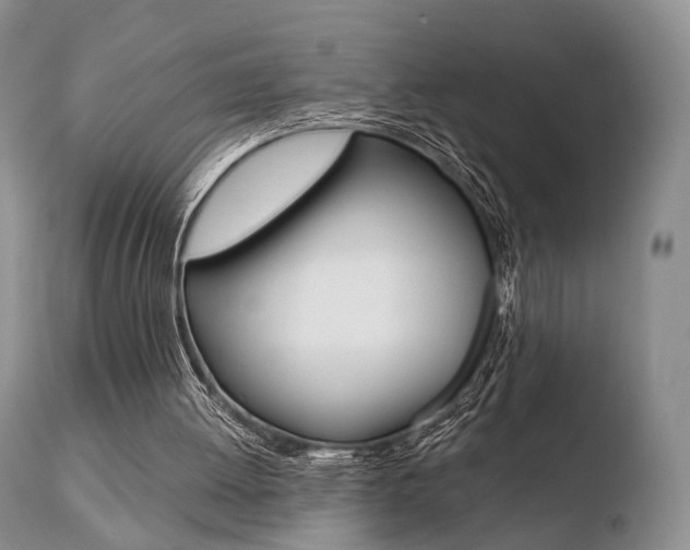X0000110730052200906121320