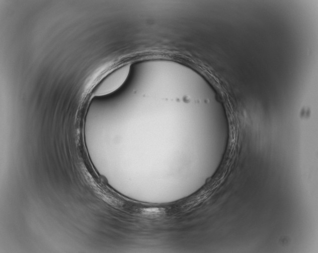 X0000110730053200906121320