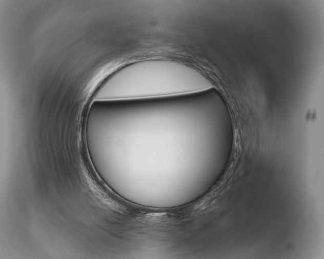 X0000110730054200906121320