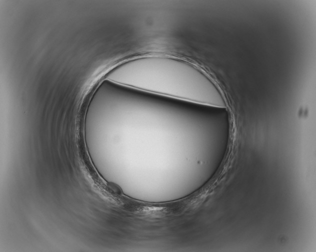 X0000110730055200906121320