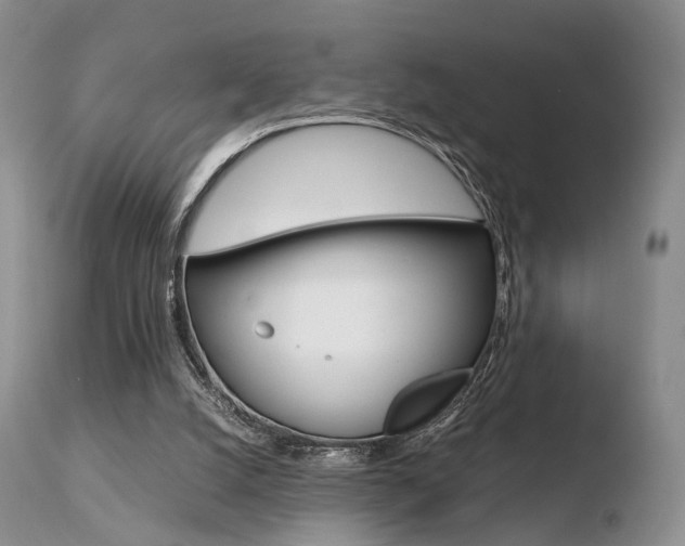 X0000110730056200906121320