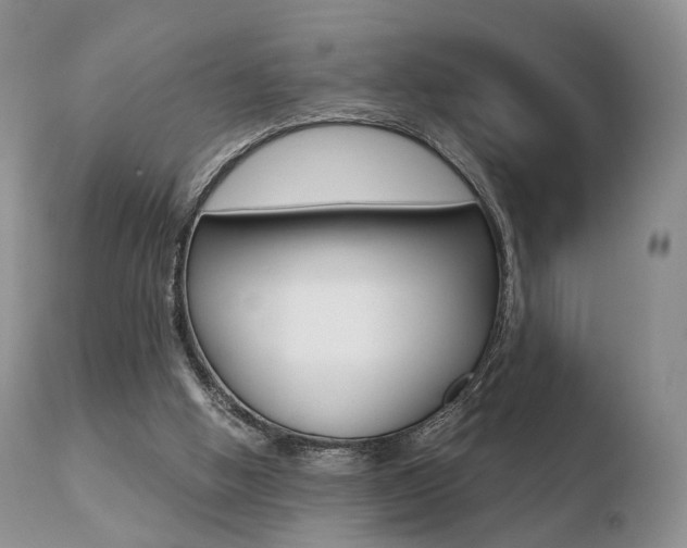X0000110730058200906121320