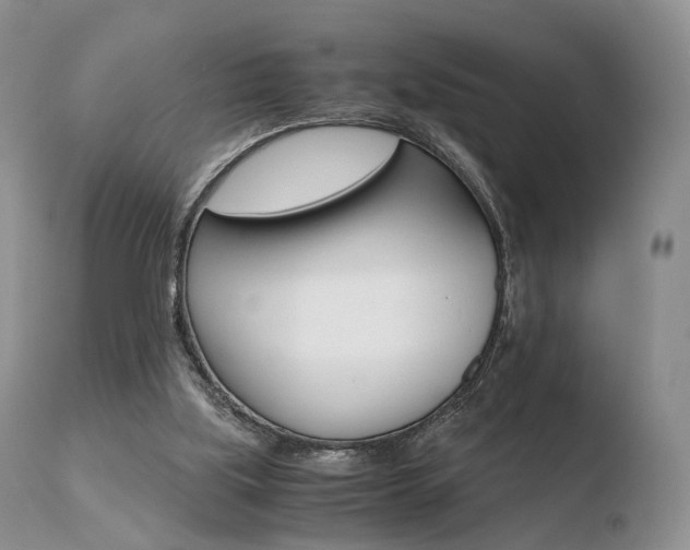 X0000110730059200906121320