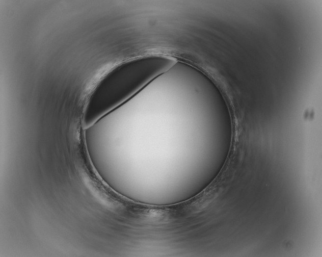 X0000110730060200906121320