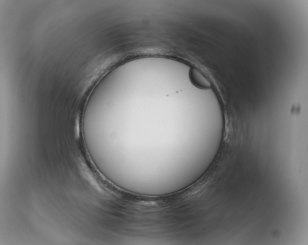 X0000110730061200906121320