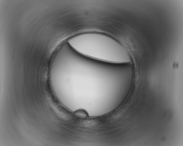 X0000110730063200906121320