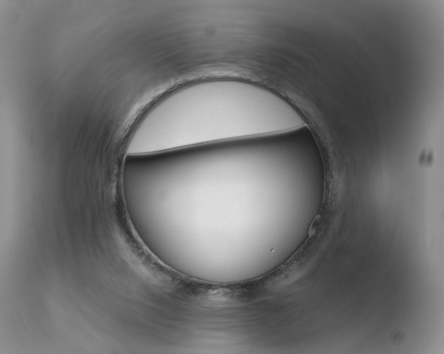 X0000110730064200906121320
