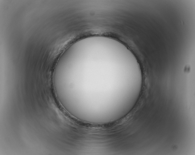 X0000110730066200906121320
